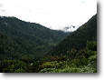 Cloud forest - Manu Paradise Lodge below