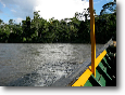 Madre de Dios River at Amazonia Lodge