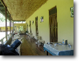Amazonia Lodge - birding veranda