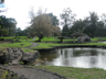 Liliuokalani Gardens, a beautifully landscaped Japenese garden.