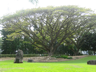 Liliuokalani Gardens, Hilo