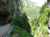 Road at Trigrad Gorge in Pirin Mtns - Bg