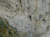 Bulgarian Wallcreeper at Trigrad Gorge