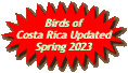 Birds of Costa Rica Updated