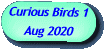 Curious Birds 1