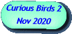 Curious Birds 2