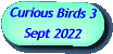 Curious Birds 3