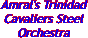 Amral's Trinidad Cavaliers Steel Orchestra